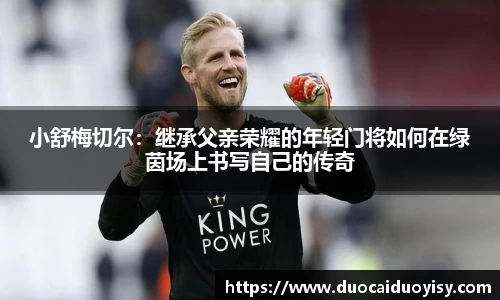 bevictor伟德官网下载